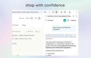 surfmind screenshot 2