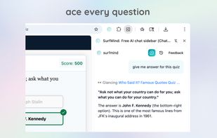 surfmind screenshot 3