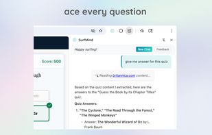 surfmind screenshot 3