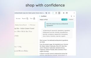surfmind screenshot 2