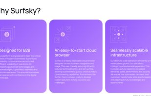 Surfsky screenshot 1