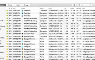 Surge for Mac screenshot 1