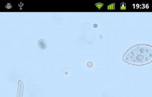 SwampWater Live Wallpaper screenshot 3