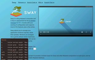 sway-preview-keys - preview window for resize mode