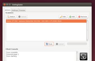 SwingSane screenshot 1
