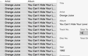 Swinsian screenshot 2