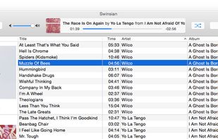 Swinsian screenshot 1