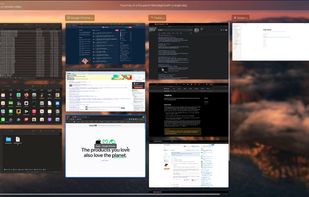 Taken from the app video