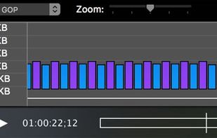 Switch Player screenshot 1