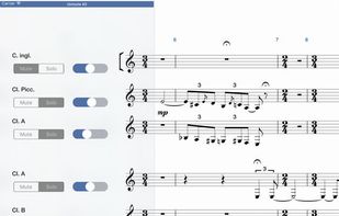 Symphony Pro screenshot 2