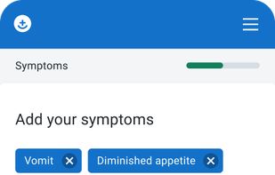 3. Add your initial symptoms