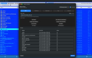 Batch renamer with various patterns