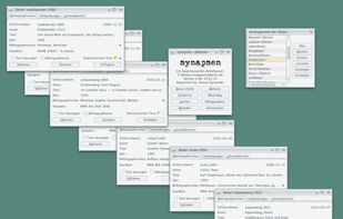 synapsen screenshot 1