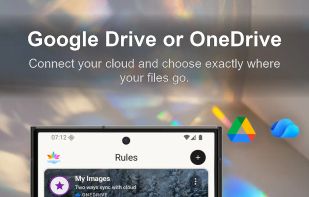 Google Drive or OneDrive
