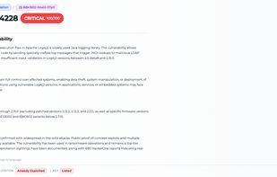 Example of a vulnerability description, scoring and exploitation status (CVE-2021-44228)