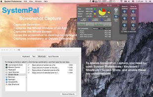 Systempal screenshot 2