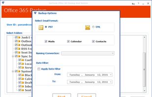 Select Export Option