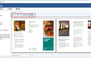 Preview & Save Healthy Word file