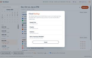Tab Lifeboat screenshot 3