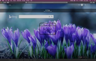 Tab Suspender for Safari screenshot 2