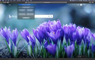Tab Suspender for Safari screenshot 3