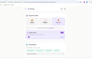 Settings: suspension timing and protection rules