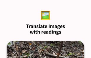 Translate Images with Readings