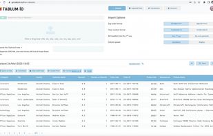 Example of the UI: Spreadsheet View
