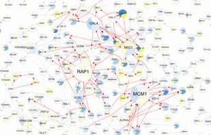 Network visualization generated by Tabnetviz.