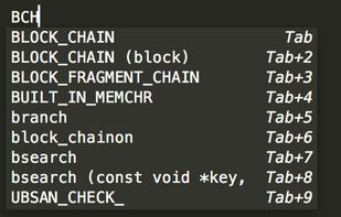 TabNine screenshot 3