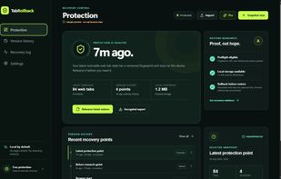 Protection overview — original app screenshot with labelled sample data, not customer activity.