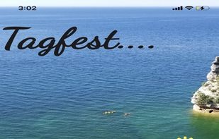 Tagfest screenshot 2