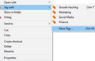 Tagging for Windows screenshot 1