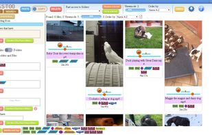 Video Previews:
Videos can be played directly both in explorer and search results cards, same as audios.