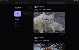 Takesama screenshot 2