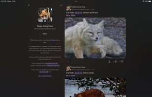 Takesama screenshot 1