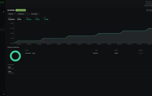 Investment portfolio with value, gain, TWR and IRR, allocation, and top positions