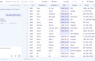 Normalize data using natural language chat, see changed cells.