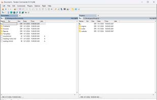 Source on the left, target on the right - and each panel keeps several directories open in tabs.