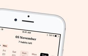 Tangerine.app screenshot 1