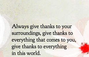 Tao Way of Life screenshot 2