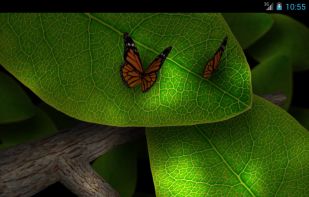 Tap Leaves Live Wallpaper screenshot 1