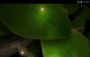Tap Leaves Live Wallpaper screenshot 1