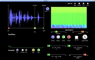 TAPESTREA's Analysis screen