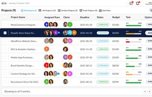Projects list with team, status and budget