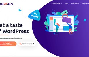 TasteWP screenshot 3