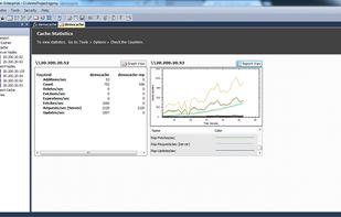 Data Grid statistics show data grid counters for runtime monitoring of all the data grid servers in the data grid cluster.