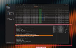 TCP Viewer screenshot 1