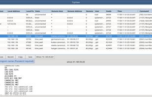 TcpView For Linux screenshot 1
