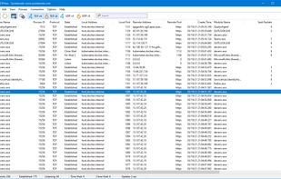 TCPView screenshot 1